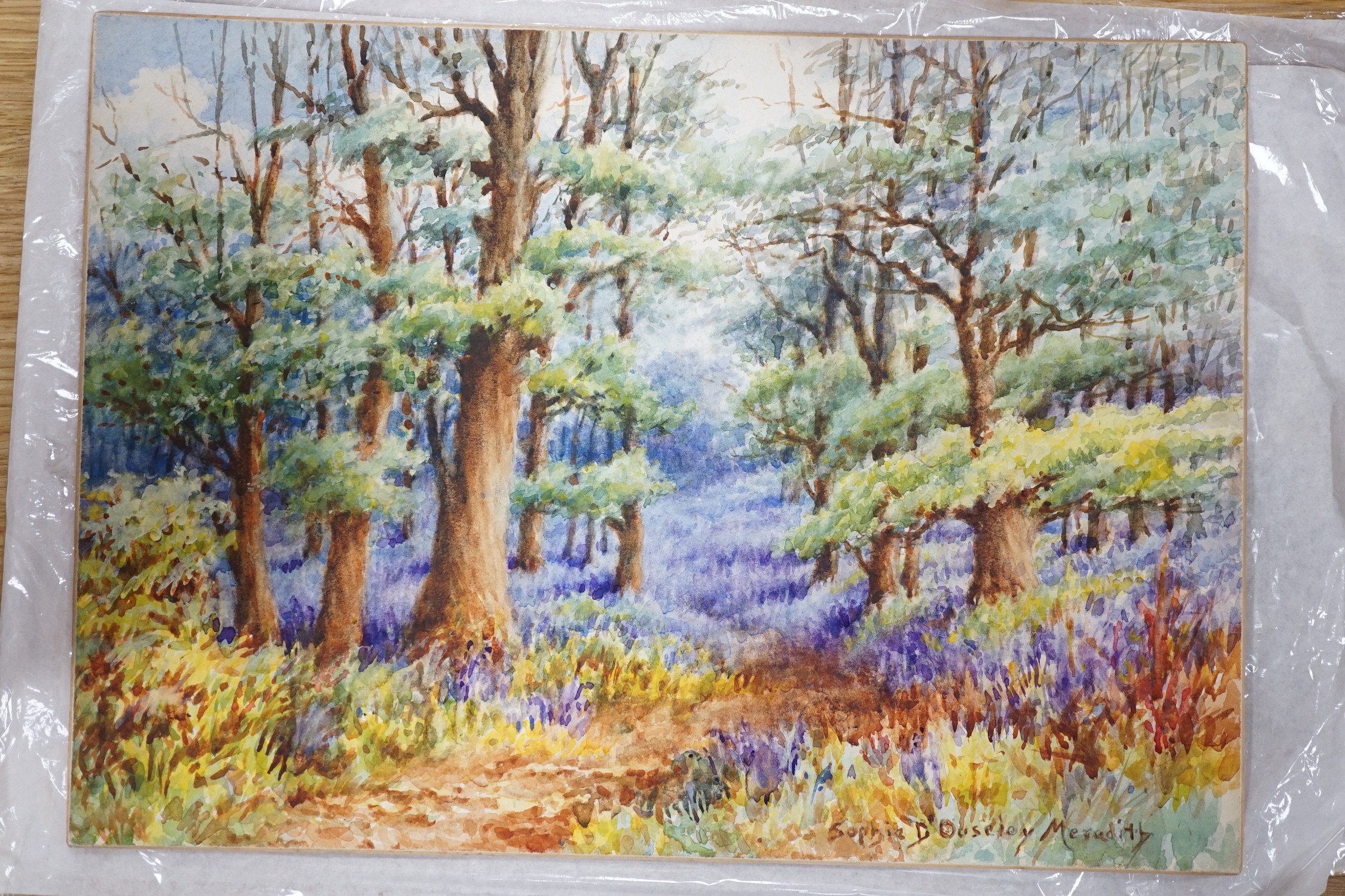 William Rainey (1852-1936) and Lady Lucy Hume-Williams (1862-1948) and Sophie D'Ouseley Meredith (1851-1932), three watercolours, 'East Dean Church', 'Windswept fir trees' and 'The Bluebell Wood', all original artworks f